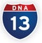 DNA 13
